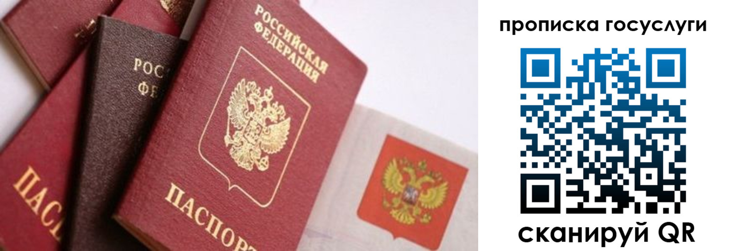 прописка законно в Суровикино